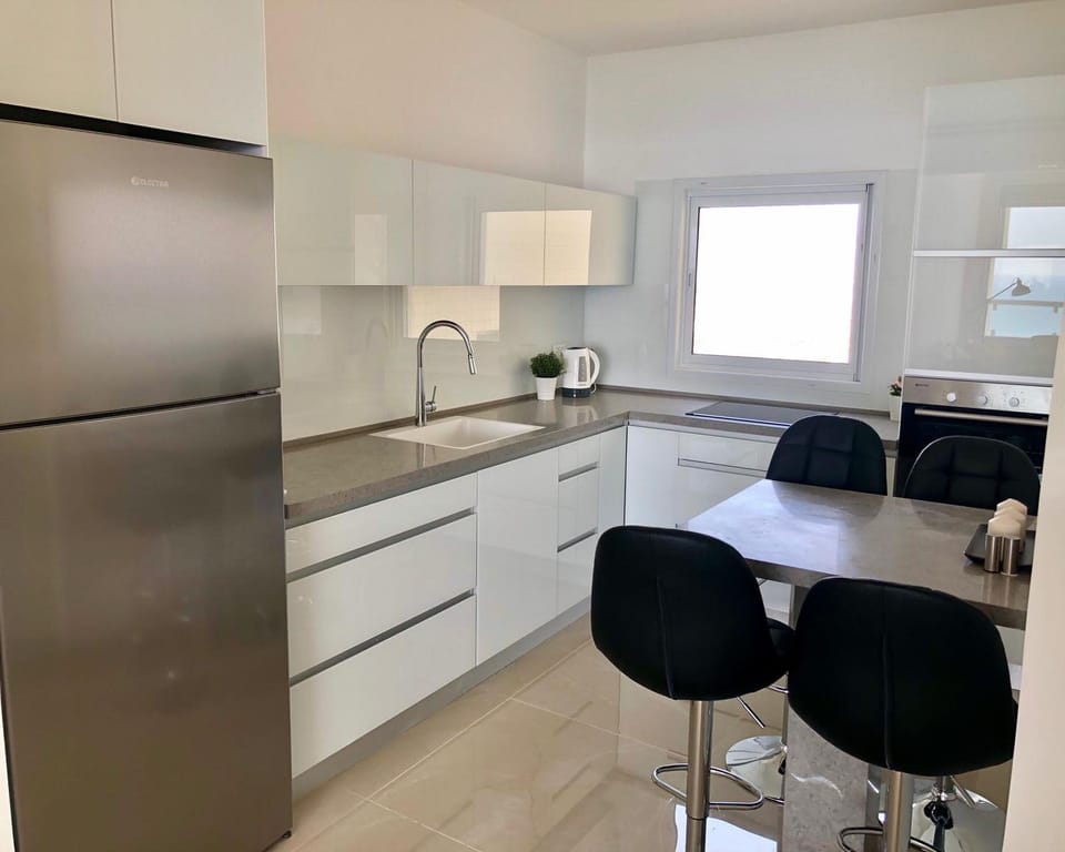 Full-size fridge, microwave, oven, stovetop