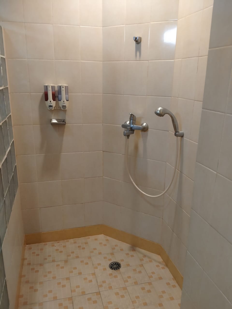 Family Room | Bathroom | Shower, rainfall showerhead, free toiletries, towels
