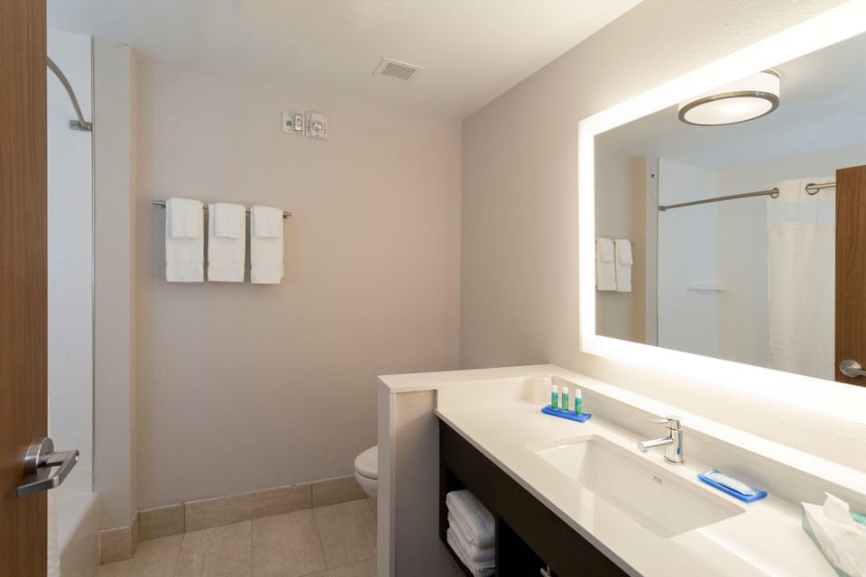 Rainfall showerhead, hair dryer, towels, soap