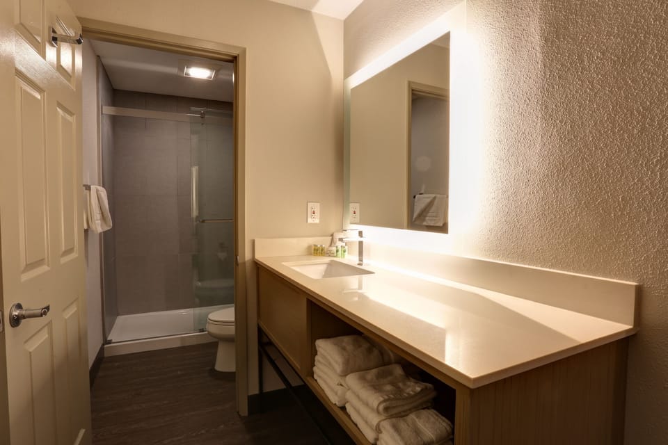 Shower, eco-friendly toiletries, hair dryer, towels