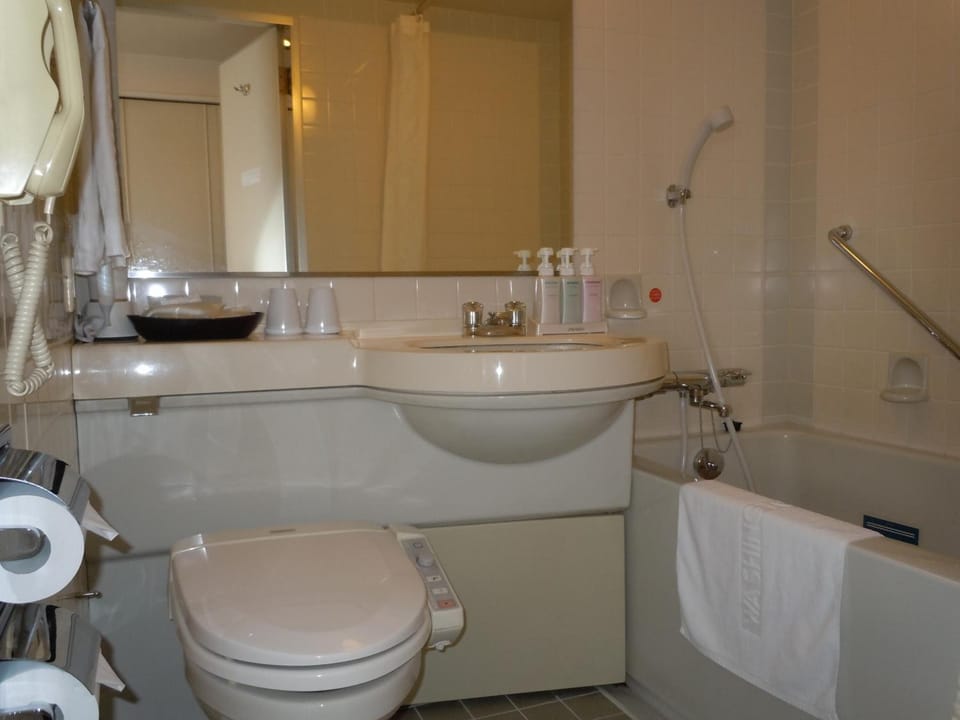 Combined shower/tub, free toiletries, hair dryer, bathrobes