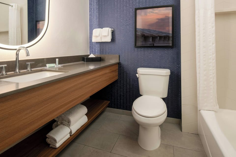 Combined shower/tub, free toiletries, hair dryer, towels
