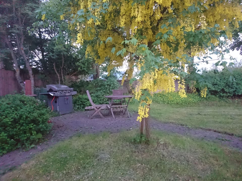 Alba Guesthouse Bed and Breakfast in Reykjavik