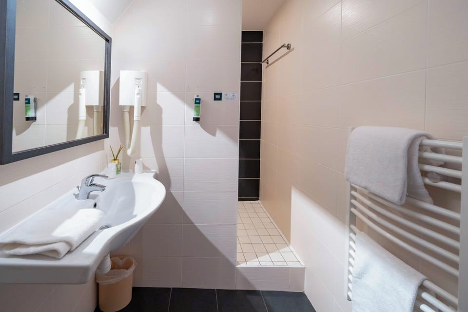 Classic Double Room | Bathroom | Shower, free toiletries, hair dryer, towels