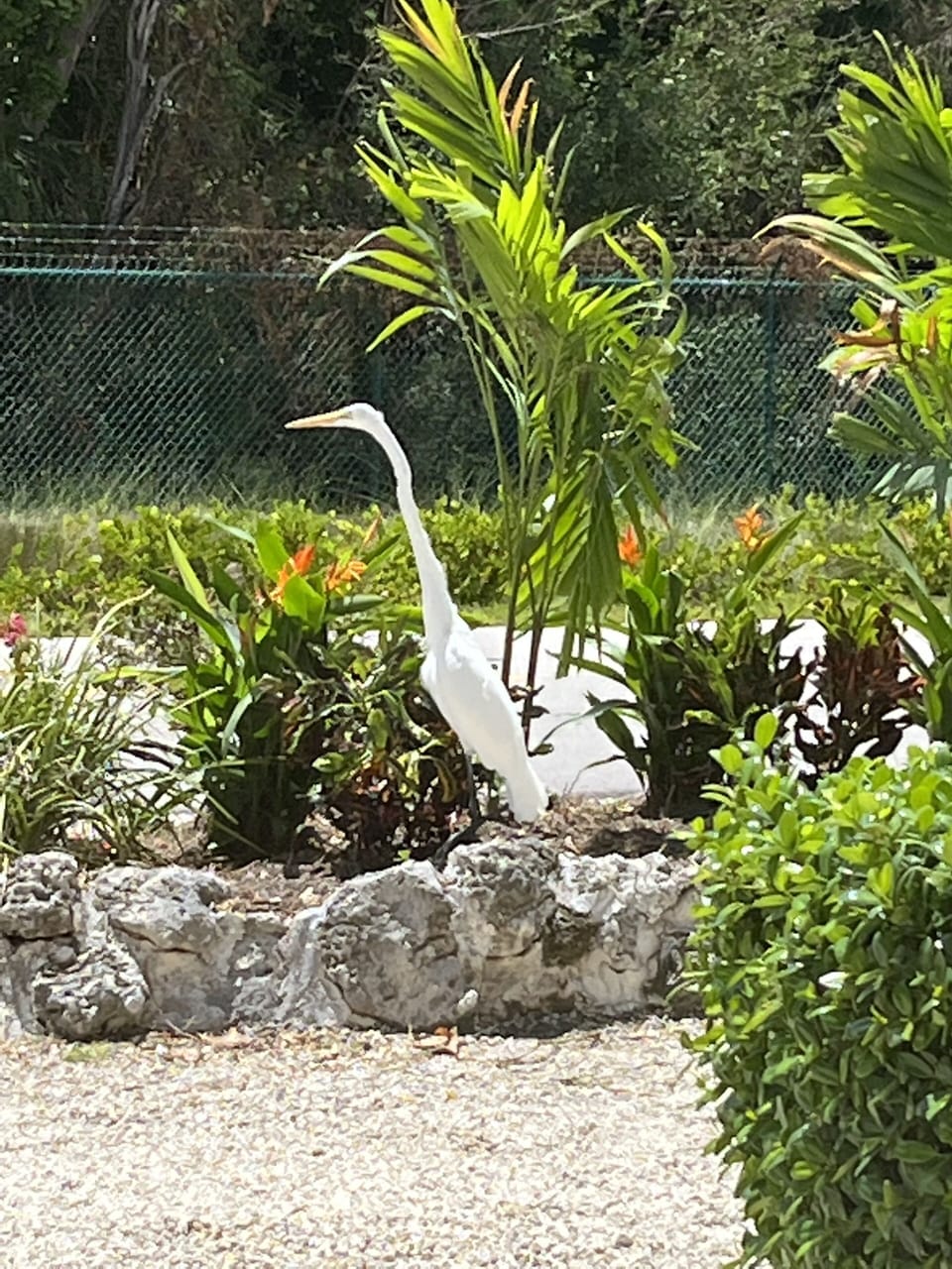 Crane Out Front