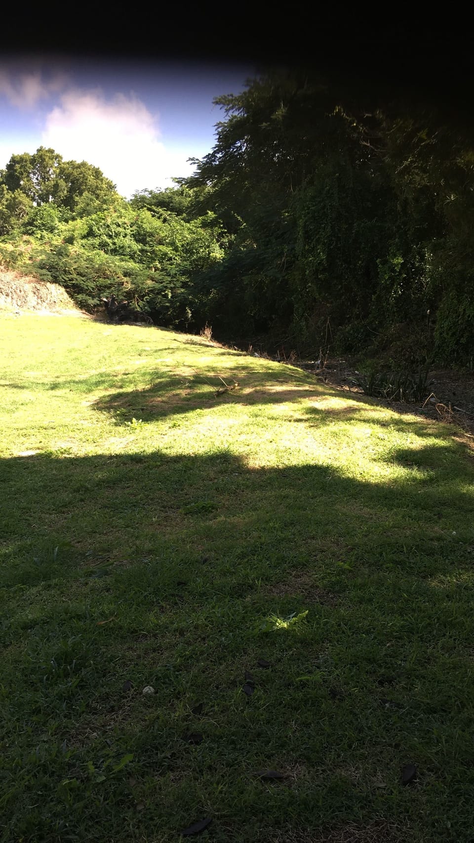 Lawn/sunbathing area