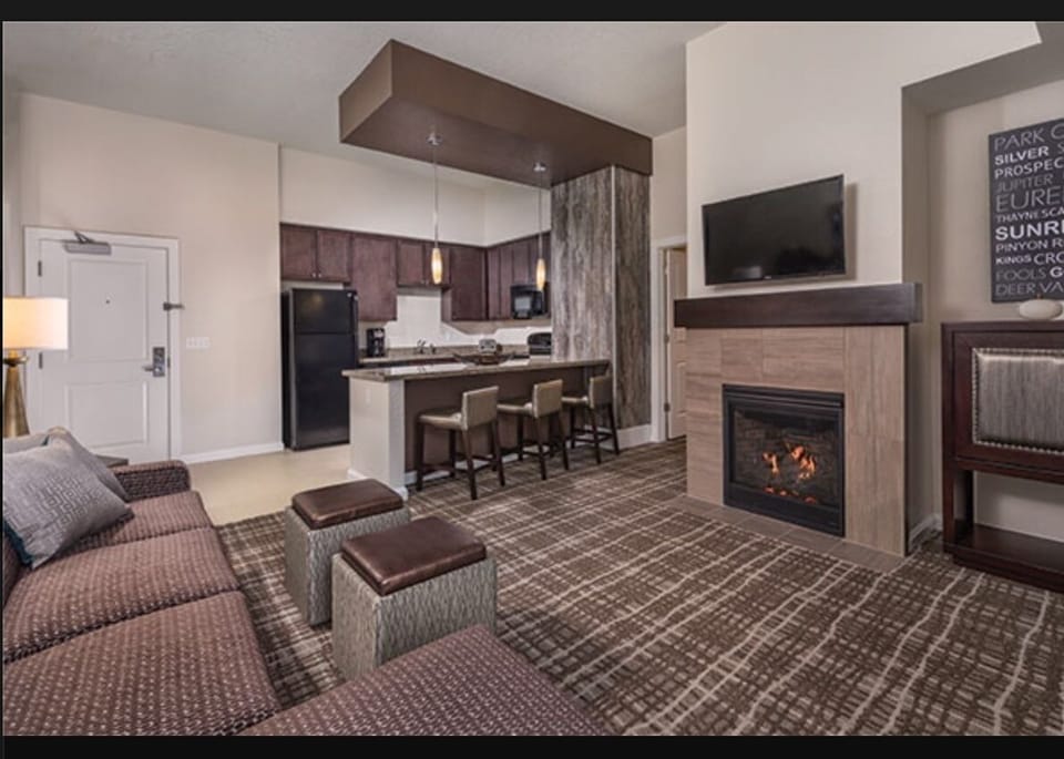 Pull out sofa; room to add an air mattress as well