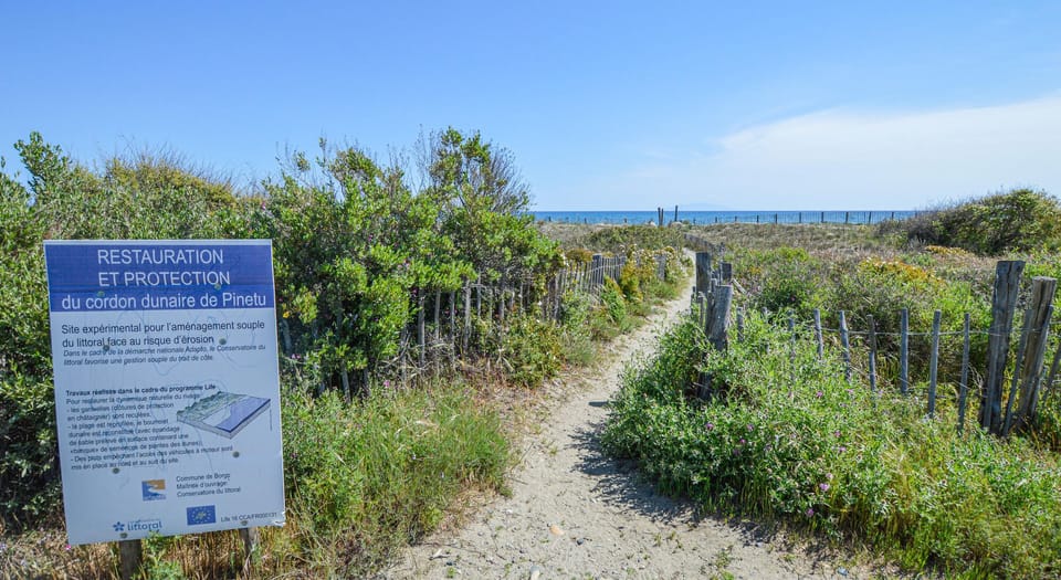 area