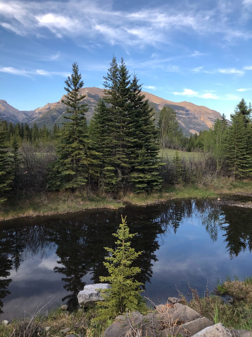 Come explore the astounding scenery around the Town of Canmore.  