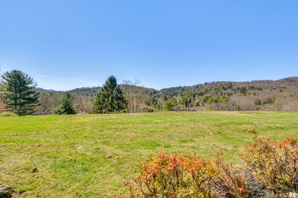 Shared Yard Area