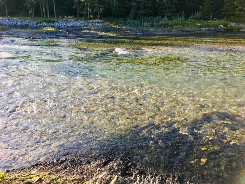 River behind cabin