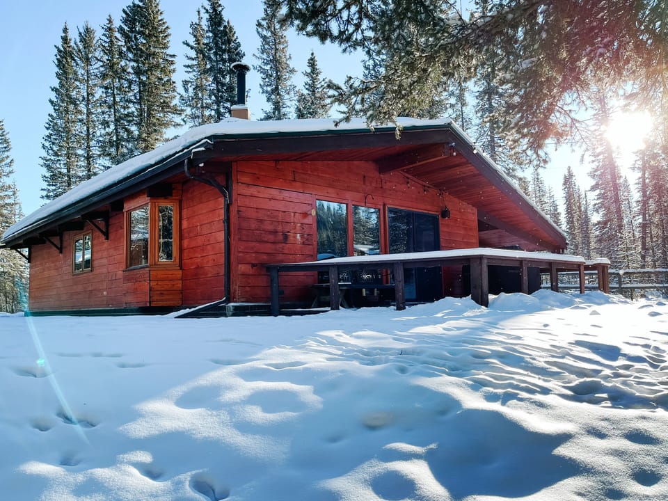 Back of cabin view