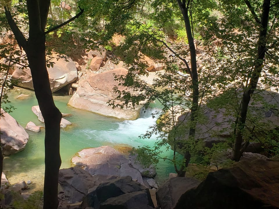 Spectacular hikes in Zion. (This picture I took myself!)