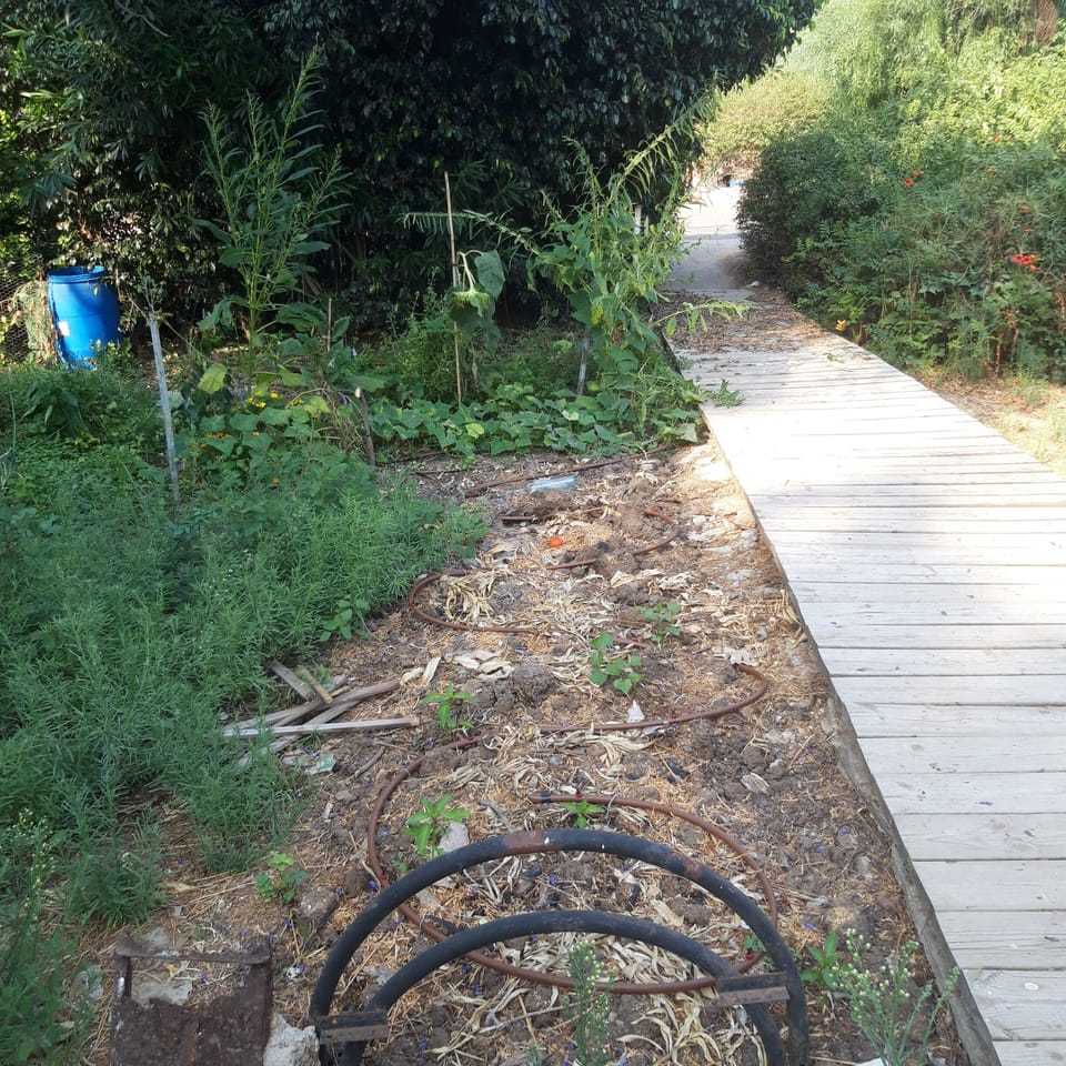 Entrance to my area