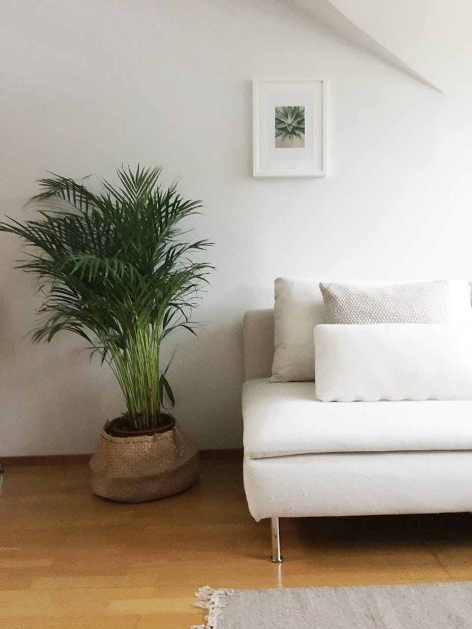 Studio, Sauna | Free WiFi, bed sheets