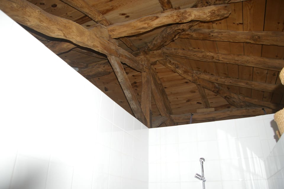 Comfort Double Room (Aster) | Bathroom shower