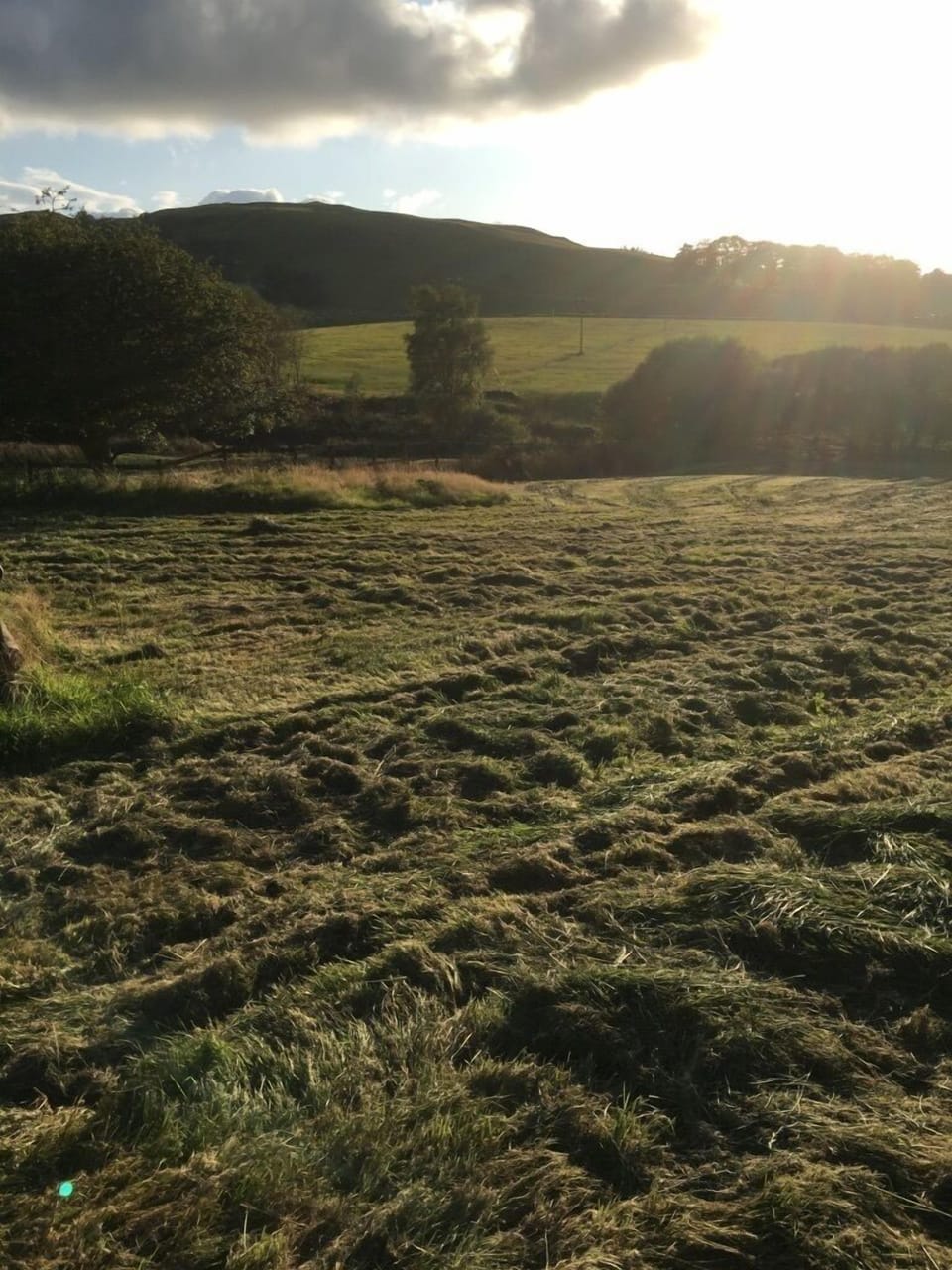 Superior Chalet | Mountain view