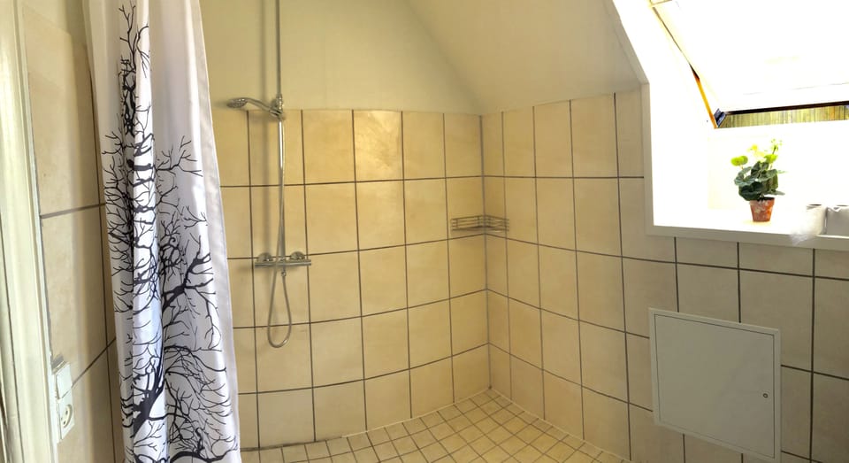 Classic Double Room, Ensuite | Bathroom shower