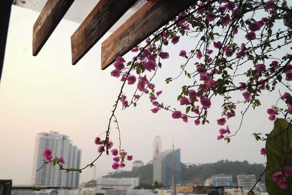 Rooftop terrace