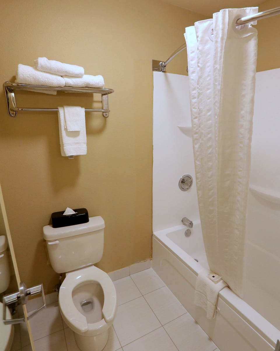 Combined shower/tub, eco-friendly toiletries, hair dryer, towels