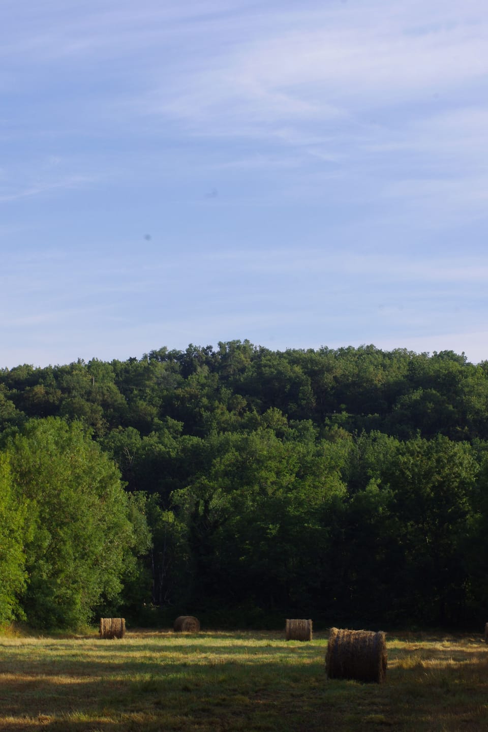 Hiking