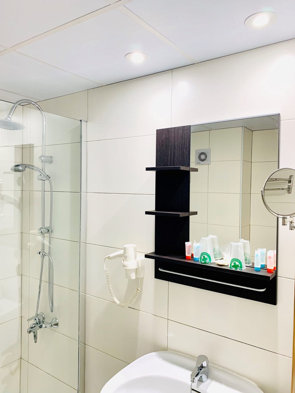 Premium Double Room | Bathroom | Hair dryer, towels, soap, shampoo