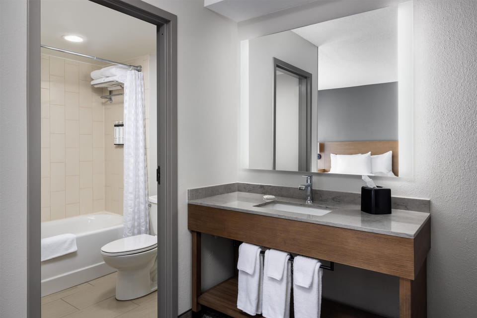 Standard Room, 1 King Bed with Sofa bed, Accessible Bathtub, Bathtub | Bathroom | Combined shower/tub, designer toiletries, hair dryer, towels