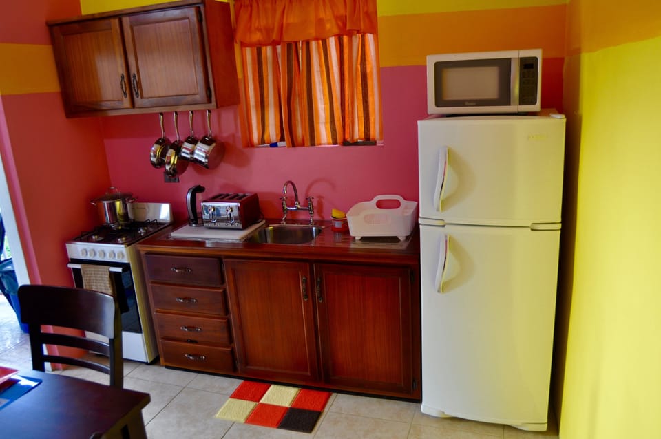 Room, 1 Queen Bed, Kitchen | Private kitchen | Full-size fridge
