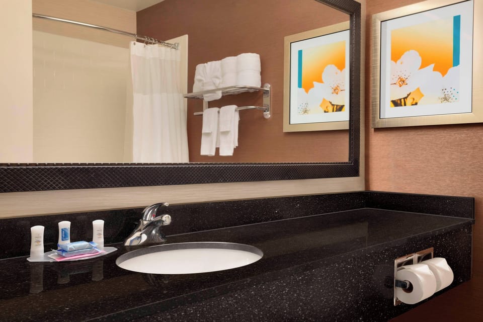 Combined shower/tub, free toiletries, hair dryer, towels