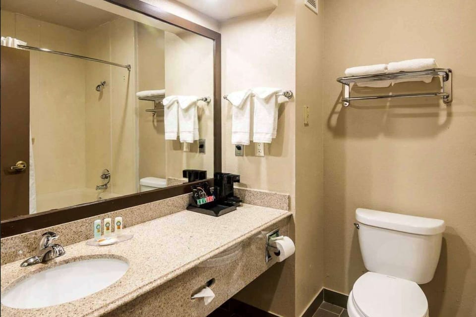 Combined shower/tub, free toiletries, hair dryer, towels
