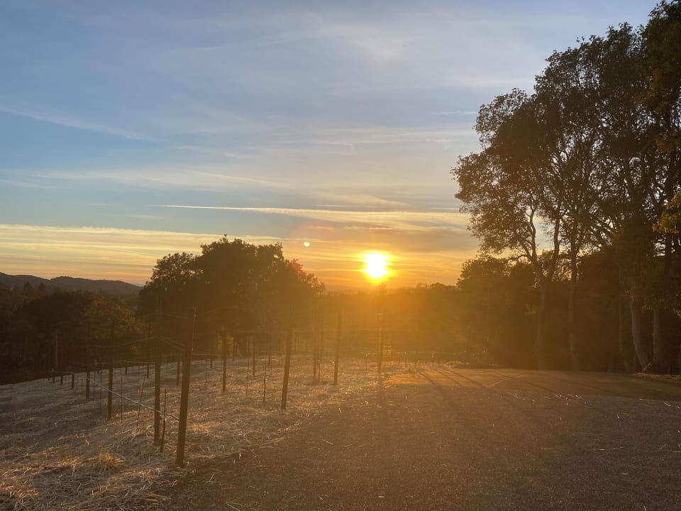 Sunset looking west