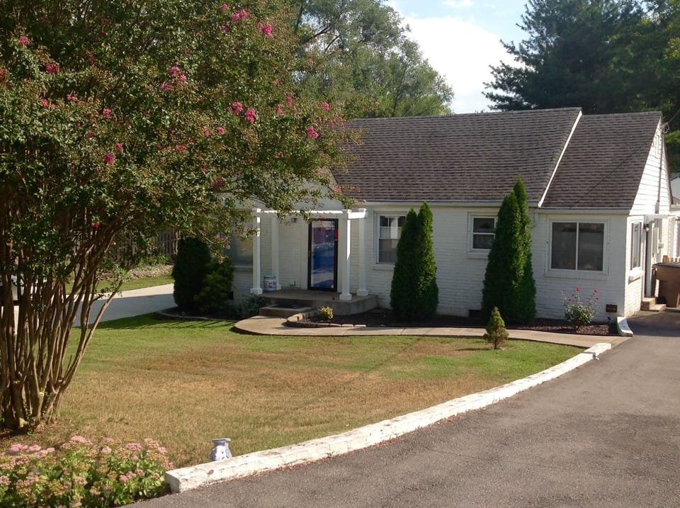 Front yard and driveway/parking