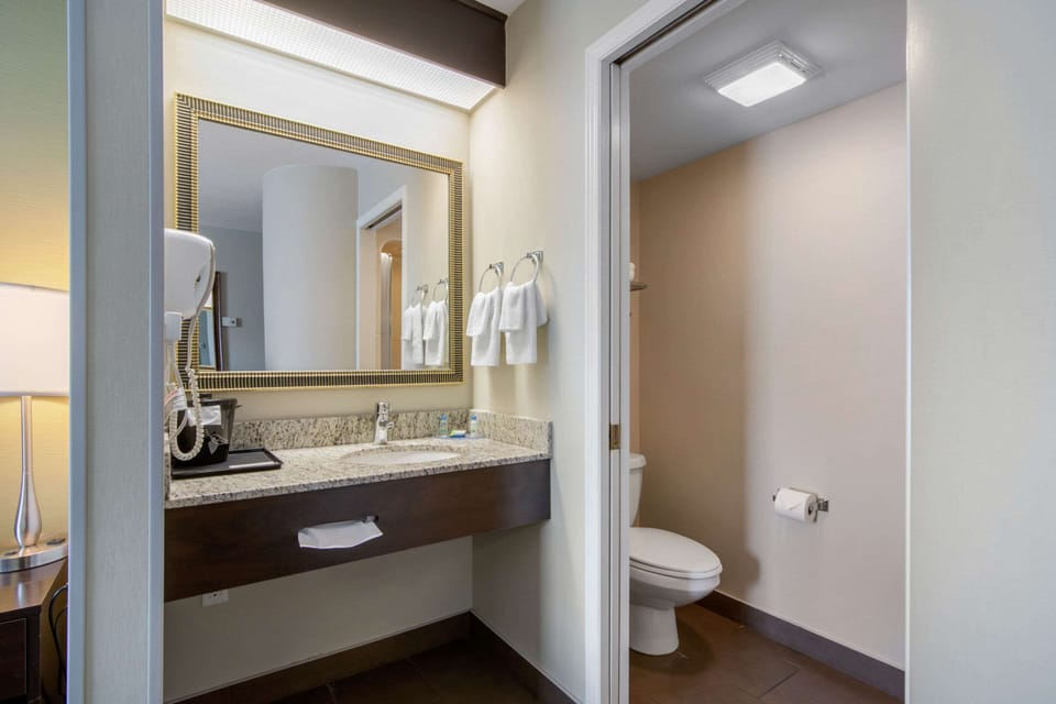 Combined shower/tub, free toiletries, hair dryer, towels