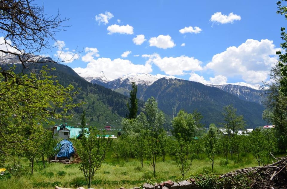Mountain view