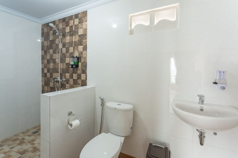 Shower, bidet, towels, soap
