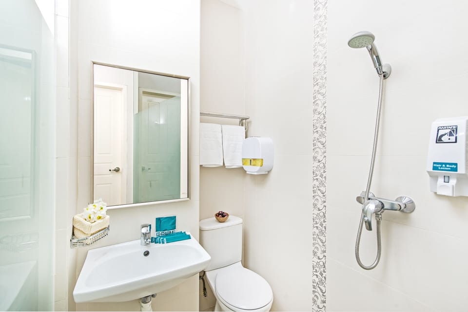 Shower, hair dryer, towels