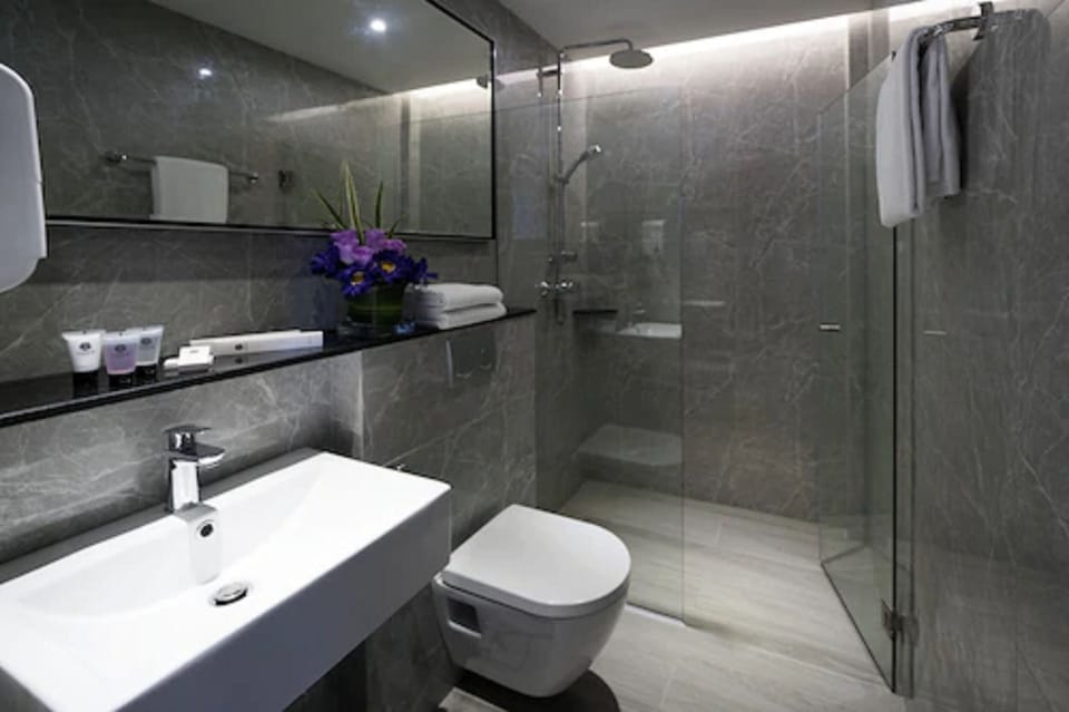 Shower, free toiletries, hair dryer, slippers