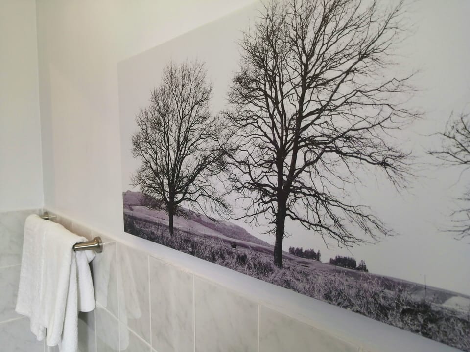 Blossom | Bathroom | Free toiletries, hair dryer, towels, shampoo