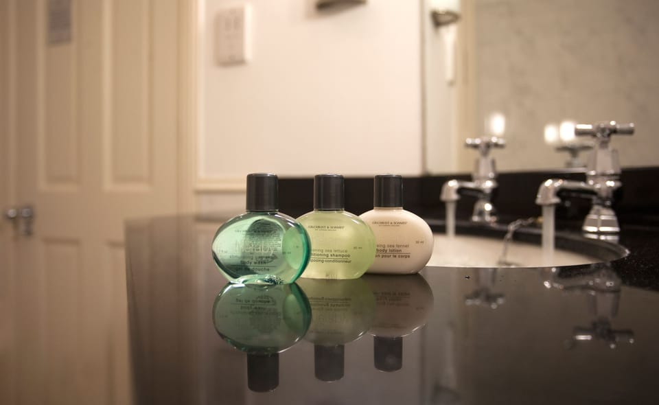 Combined shower/tub, free toiletries, hair dryer, towels