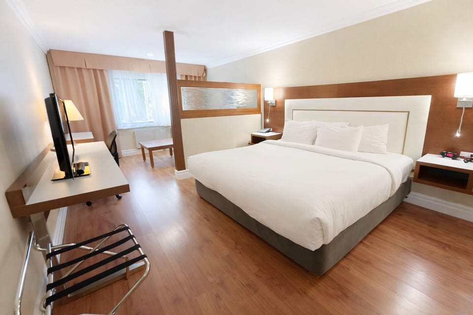 Suite, 1 King Bed with Sofa bed, Non Smoking | Hypo-allergenic bedding, desk, laptop workspace, blackout drapes