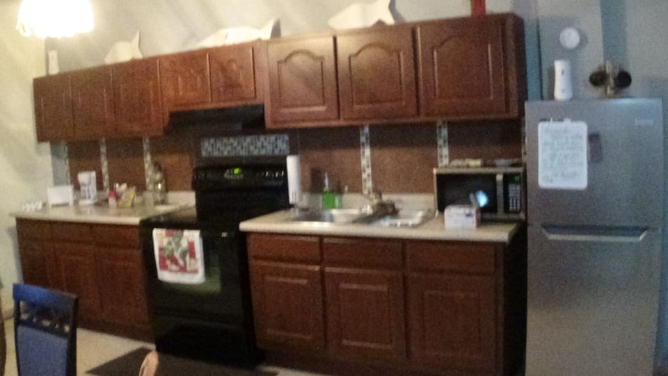 Kitchen completed with toater, blender, microwave, dish liquid and more.