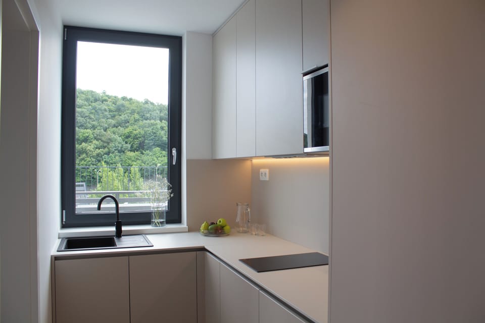 Superior Apartment, City View | Private kitchen