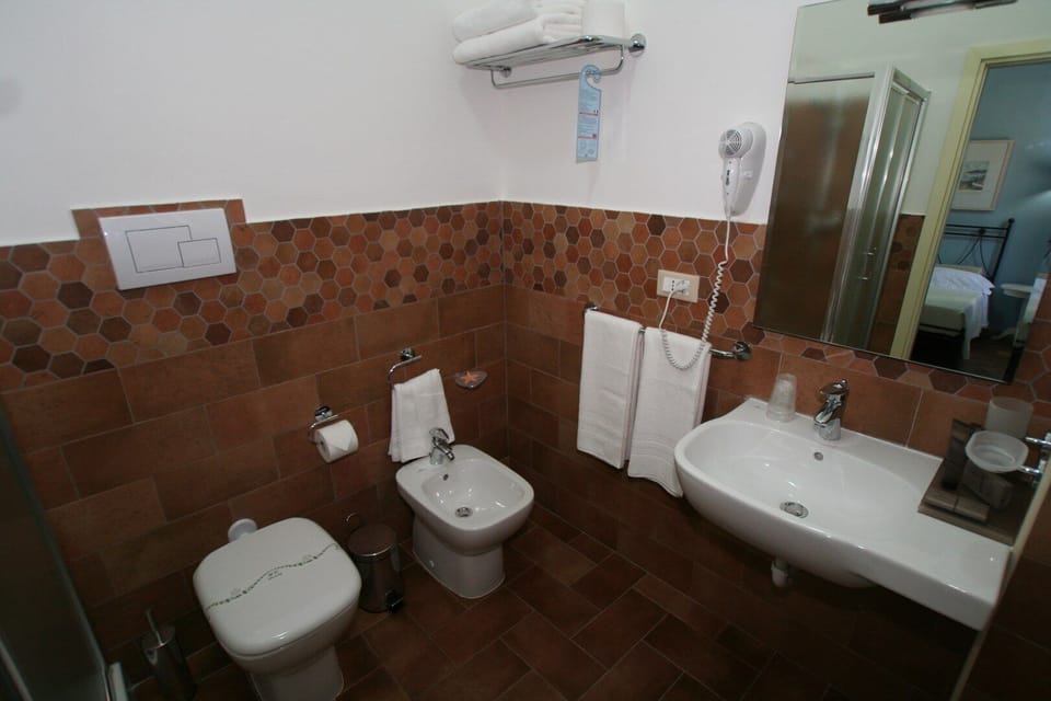 Double Room | Bathroom | Shower, free toiletries, hair dryer, bidet