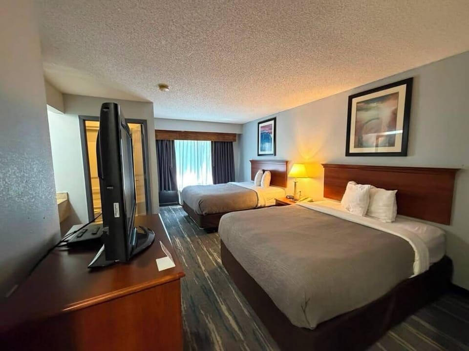 Pillowtop beds, in-room safe, desk, blackout drapes