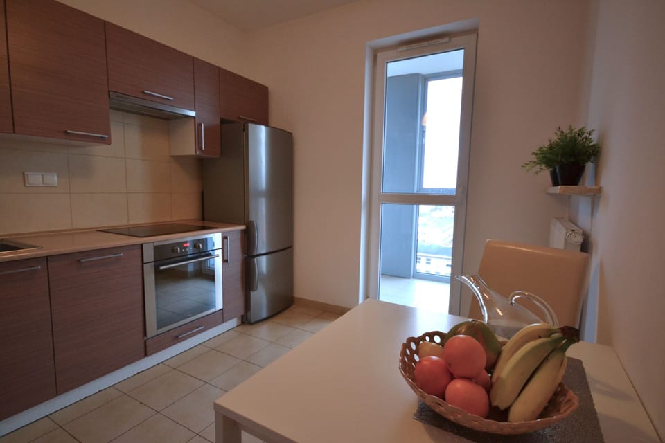 Economy Apartment (for 2 People) | Private kitchen | Full-size fridge, microwave, oven, stovetop