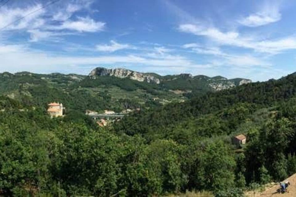 View from the main terrace