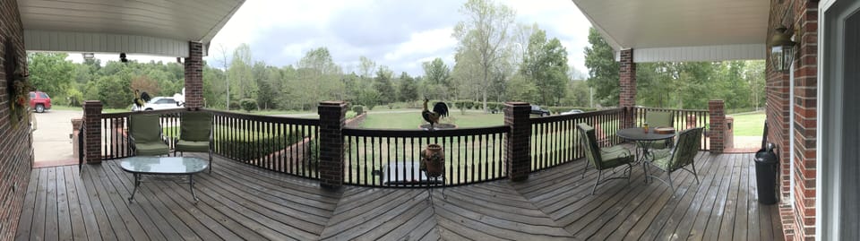 main level deck