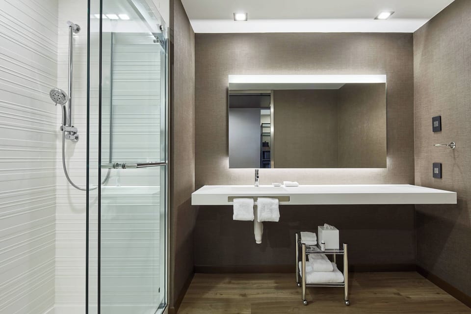 Basic Room, 1 King Bed with Sofa bed | Bathroom | Shower, free toiletries, hair dryer, bathrobes