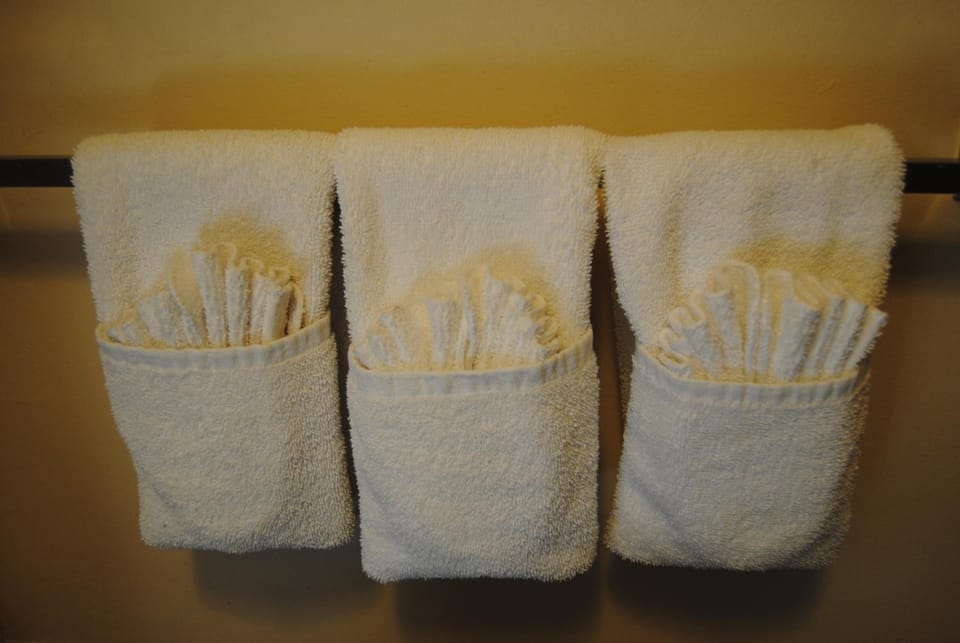 Free toiletries, hair dryer, towels
