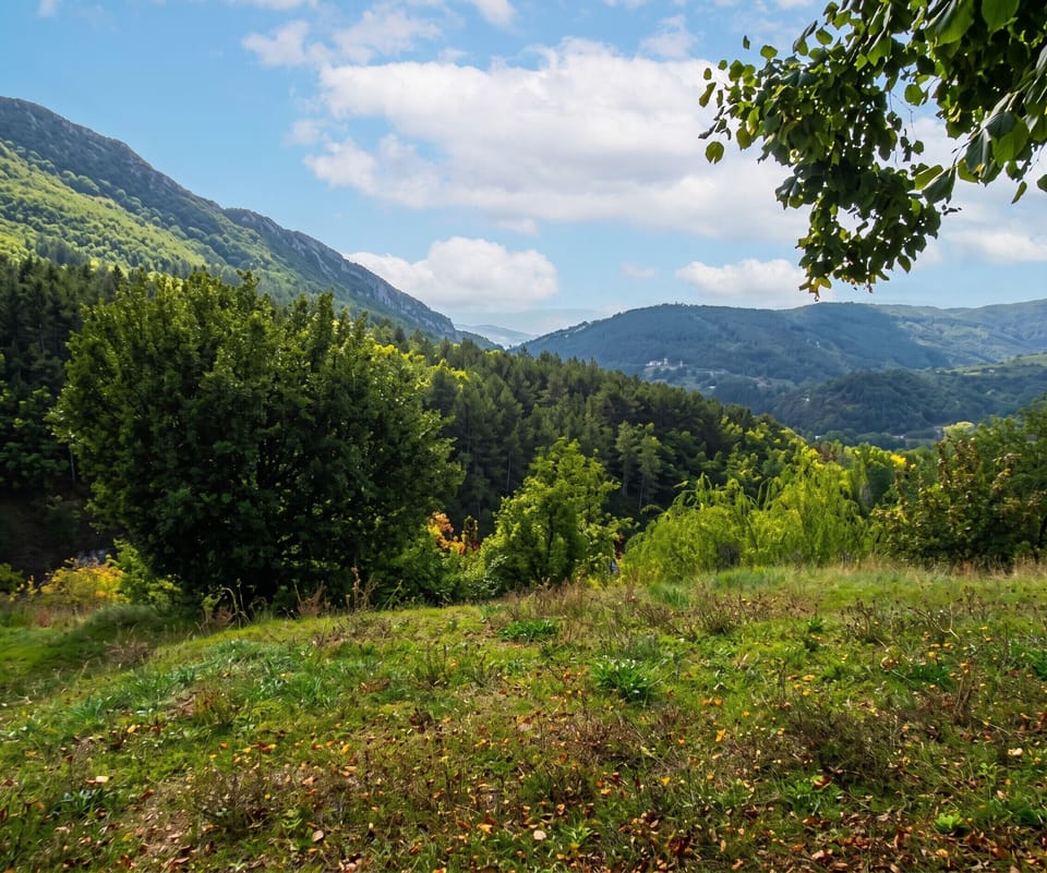 Mountain view